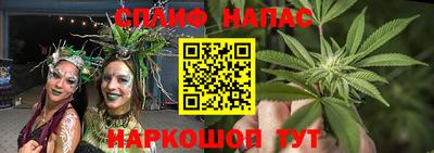 дживик Славгород