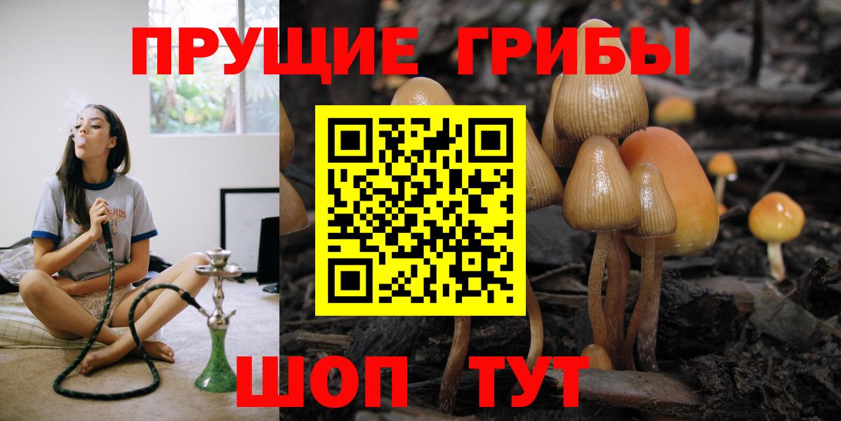 где найти   Галлюциногенные грибы мухоморы  Вход с VPN  Серов 