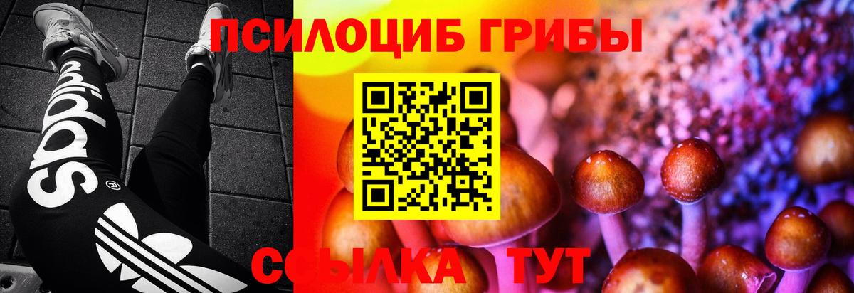 Псилоцибиновые грибы Cubensis Серов